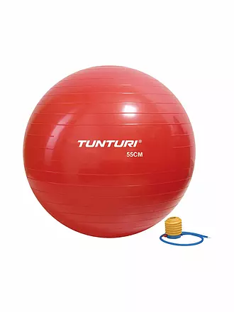 TUNTURI | Gymnastikball 55 cm mit Pumpe | 