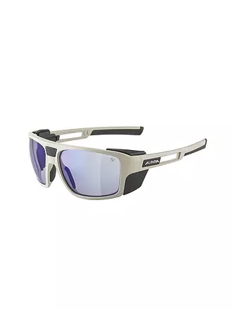 ALPINA | Damen Bergbrille Skywalsh V | grau