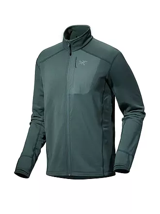 ARCTERYX | Herren Fleecejacke Delta | schwarz