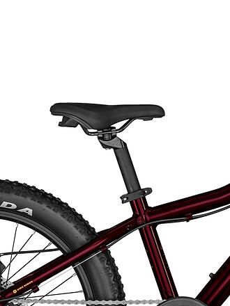 BERGAMONT | Mädchen Mountainbike Bergamonster 20 Plus Girl 2022 | rot