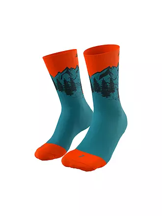 DYNAFIT | Herren Socken Stay Fast | blau