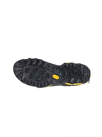 LA SPORTIVA | Herren Zustiegsschuhe TX5 Low GTX | 