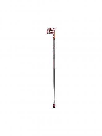 LEKI | Nordic Walkingstöcke Smart Flash | grau