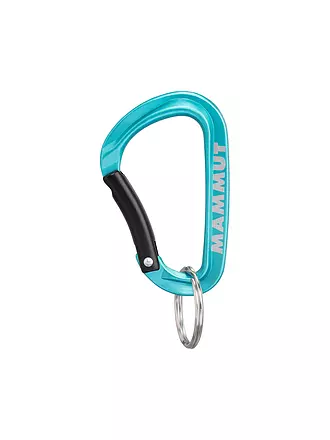 MAMMUT | Mammut Mini Carabiner Classic Keylock S | blau