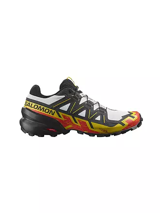 SALOMON | Herren Traillaufschuhe Speedcross 6 | grau