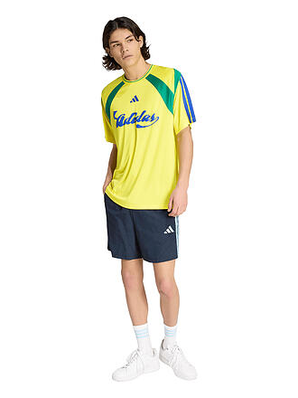 ADIDAS | Herren Fußballtrikot TIRO NP Country