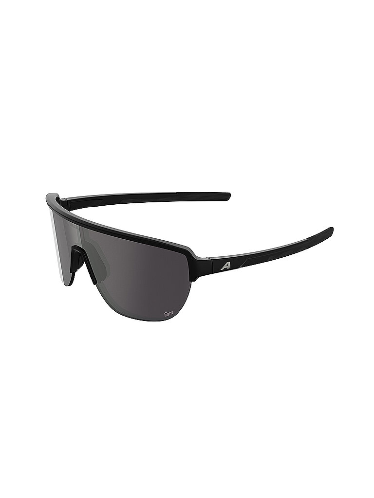 ALPINA Herren Radbrille Ram 2.0 Q-Lite schwarz