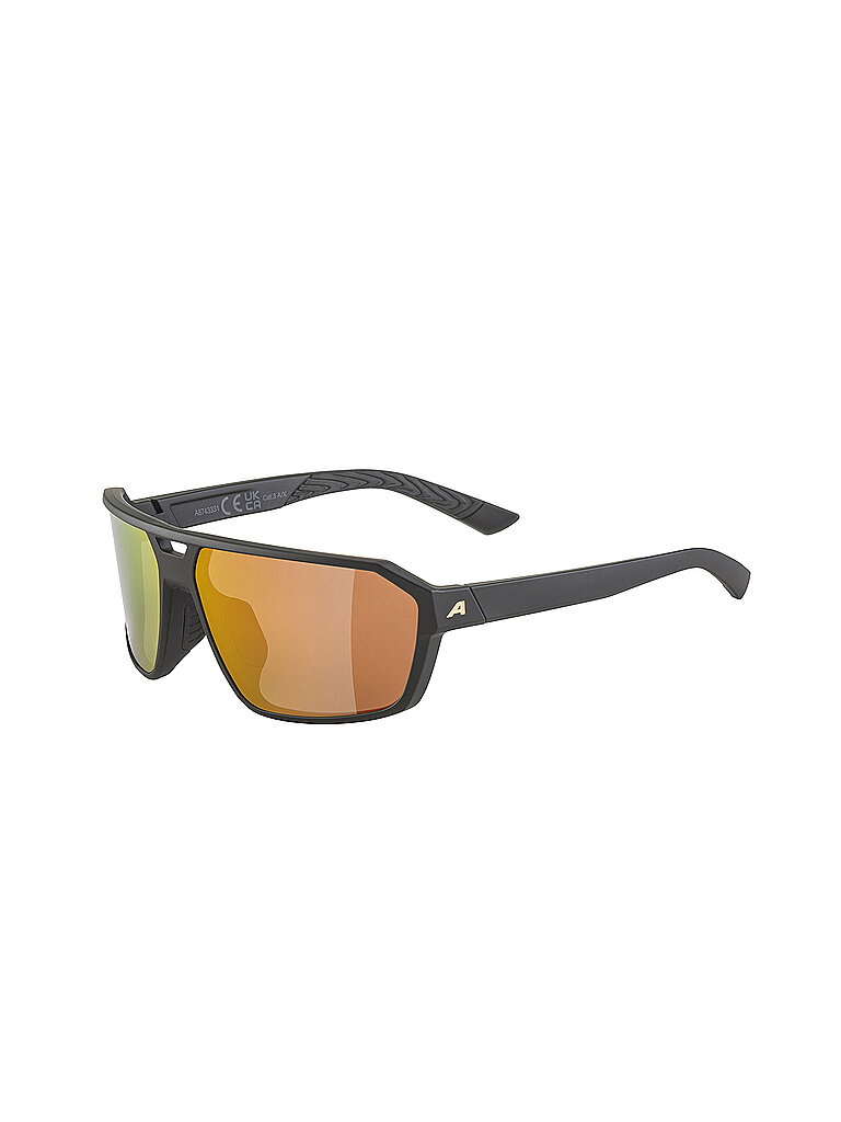ALPINA Herren Sportbrille Swift schwarz