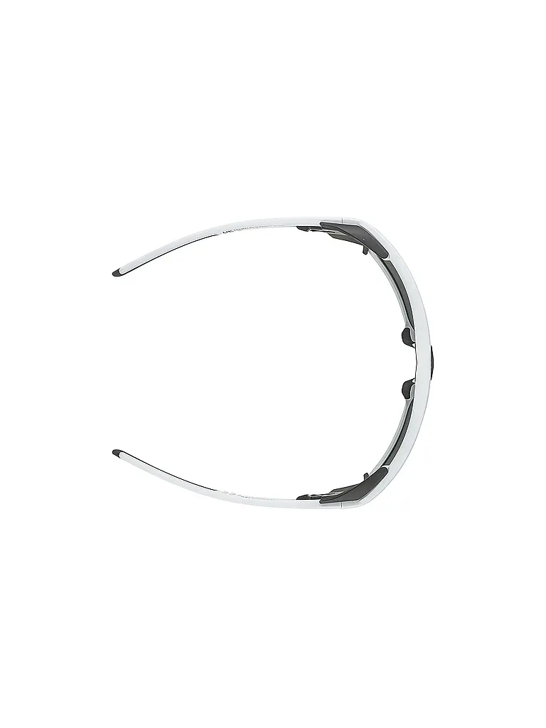 ALPINA | Damen Bergbrille Skiwalsh | hellgrau