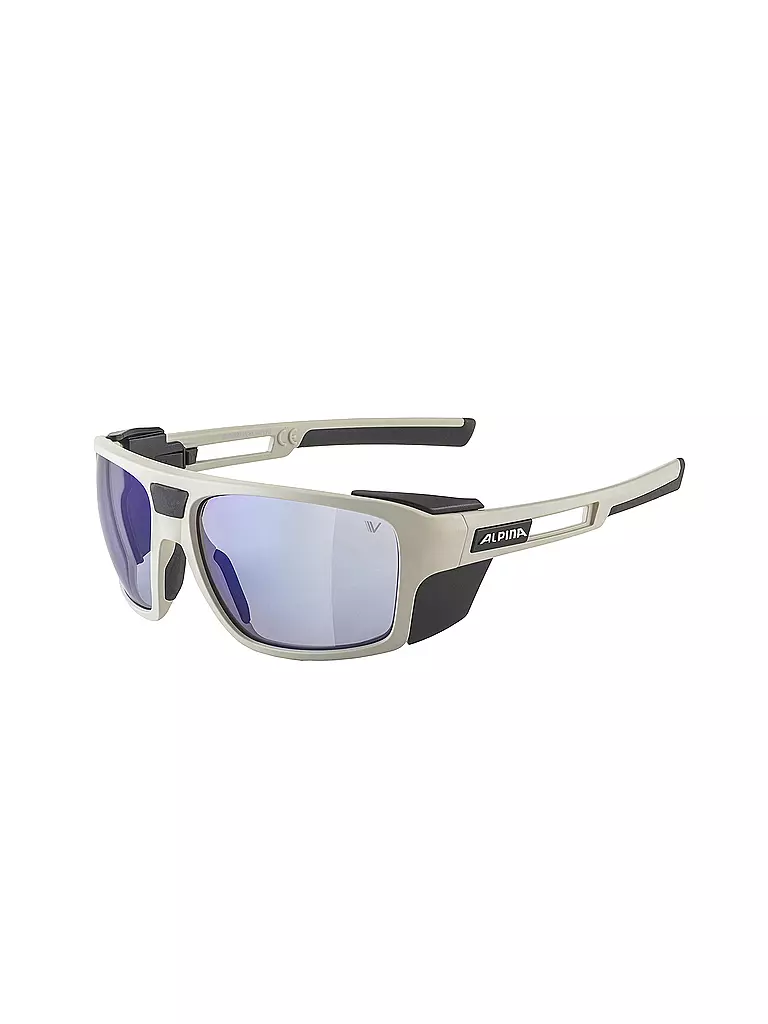 ALPINA | Damen Bergbrille Skywalsh V | grau