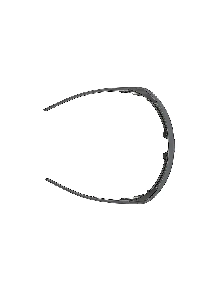 ALPINA | Herren Bergbrille Skiwalsh | grau
