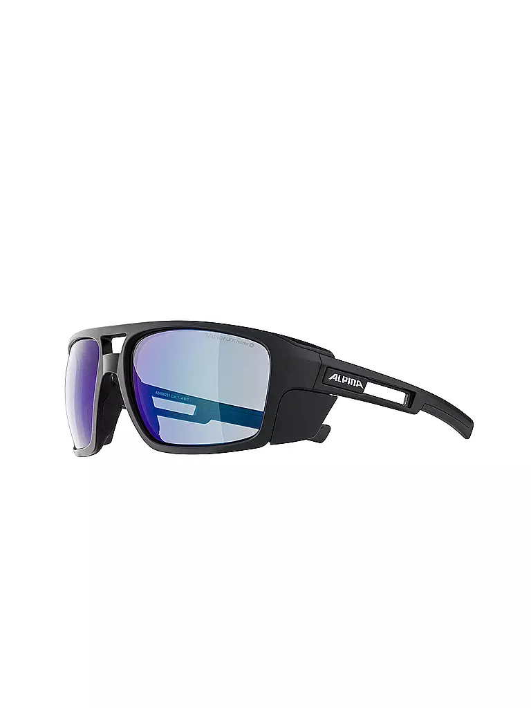 ALPINA | Herren Bergbrille Skywalsh Gletscher | schwarz