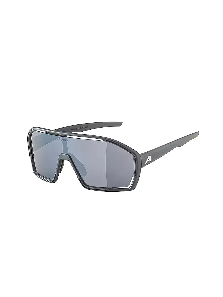 ALPINA | Herren Radbrille Bonfire | grau