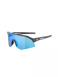 ALPINA | Herren Radbrille Sonic HR Q | grau