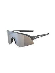 ALPINA | Herren Radbrille Sonic HR Q-Lite | grau