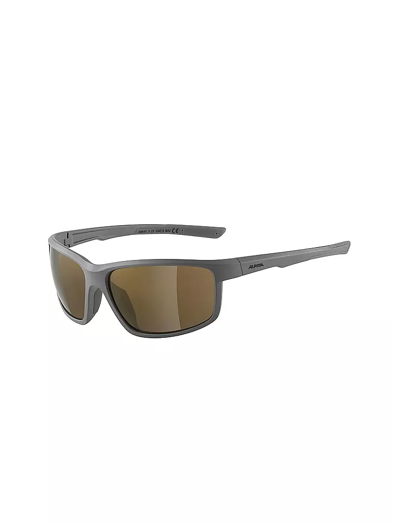 ALPINA | Herren Sportbrille Defey | grau