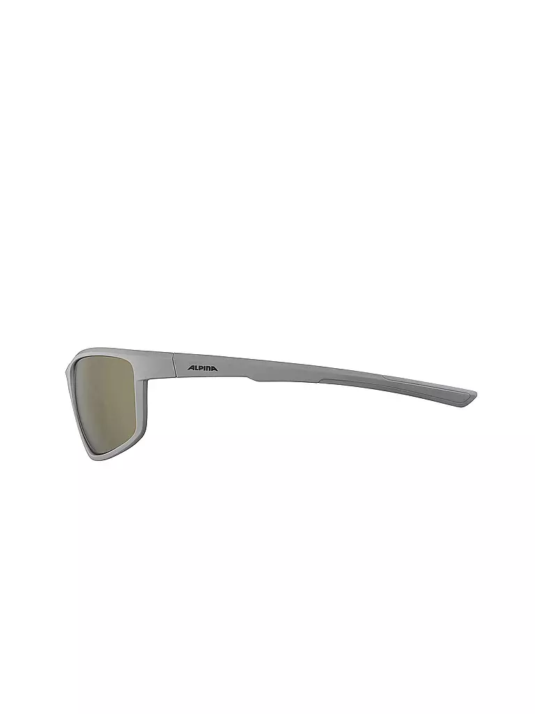 ALPINA | Herren Sportbrille Defey | grau