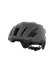ALPINA | Radhelm Taunus Gravel MIPS | grau