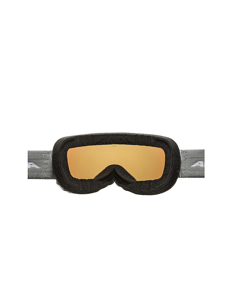 ALPINA | Skibrille Pheos S HM | weiß