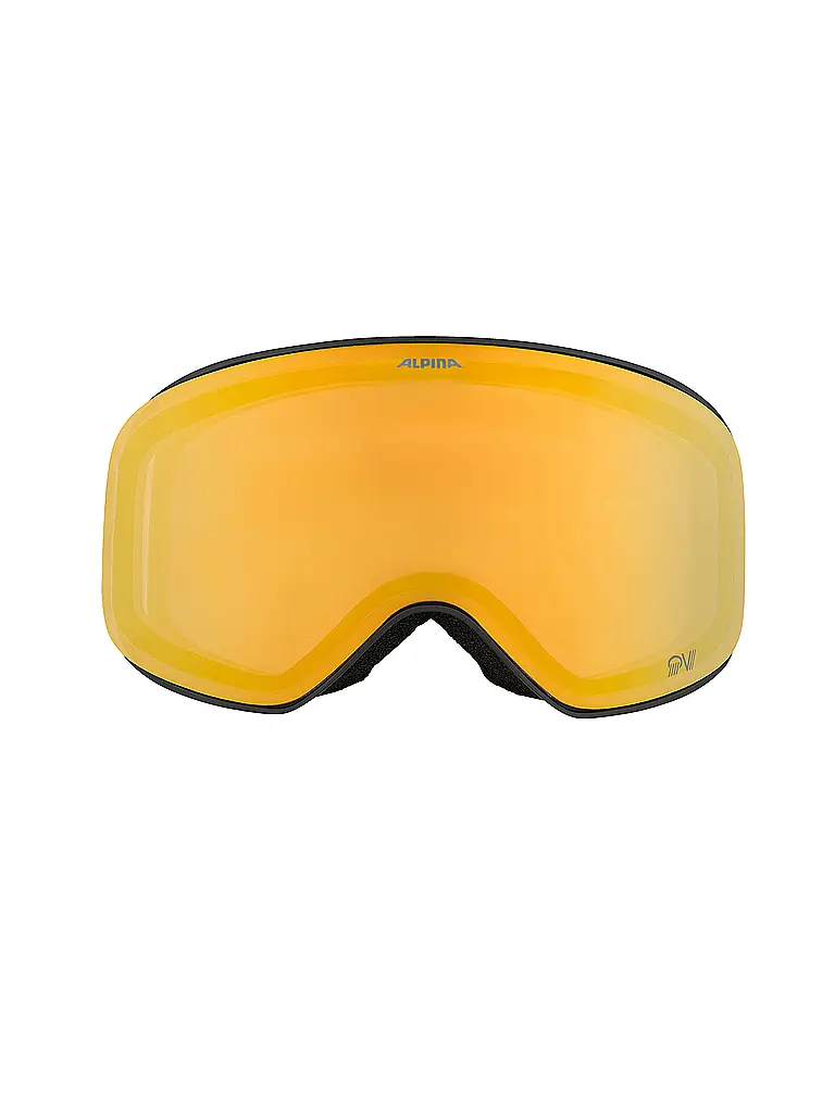 ALPINA | Skibrille Slope QV | 