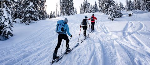 Skitouren-mit-Oeffis_Blog_Image2_hw23_1120x490