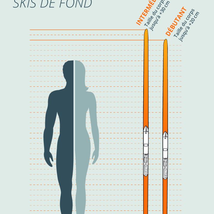 Illustrierter französischer Größenführer für Langlaufskier, der eine menschliche Silhouette neben zwei Skiern zeigt. Der Text gibt an, dass die Skilänge für Anfänger bis zum Handgelenk reicht, für Fortgeschrittene bis zu 20 cm über dem Kopf.