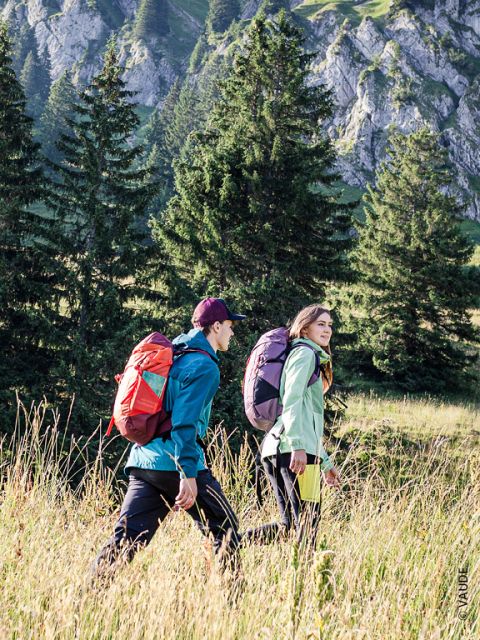 Zwei Wanderer mit Rucksäcken gehen durch eine Wiese mit Nadelbäumen und felsigen Hügeln im Hintergrund. Oben steht der Text „DEN RICHTIGEN RUCKSACK FINDEN“.
