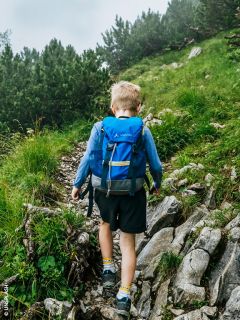 Ein Junge mit einem blauen Rucksack wandert auf einem felsigen, grünen Bergpfad, der von Gras und Bäumen umgeben ist.