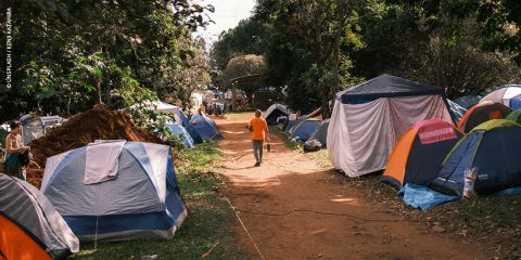 Eine Person geht tagsüber einen mit bunten Zelten gesäumten Feldweg auf einem bewaldeten Campingplatz entlang.