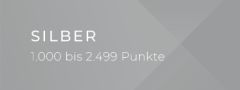 Grauer Hintergrund mit geometrischen Formen. Der weiße Text lautet: „SILBER 1.000 bis 3.999.“.