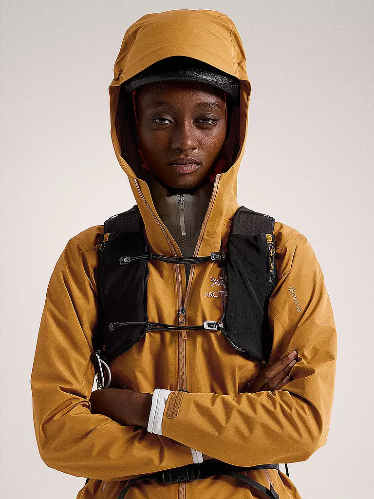 ARCTERYX | Damen Wanderjacke Beta LT GTX 3L Hoodie | braun