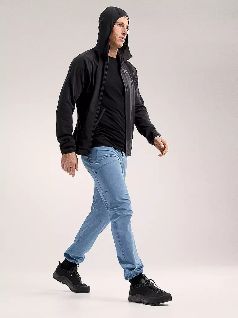 ARCTERYX | Herren Fleecejacke Delta Hoodie | schwarz