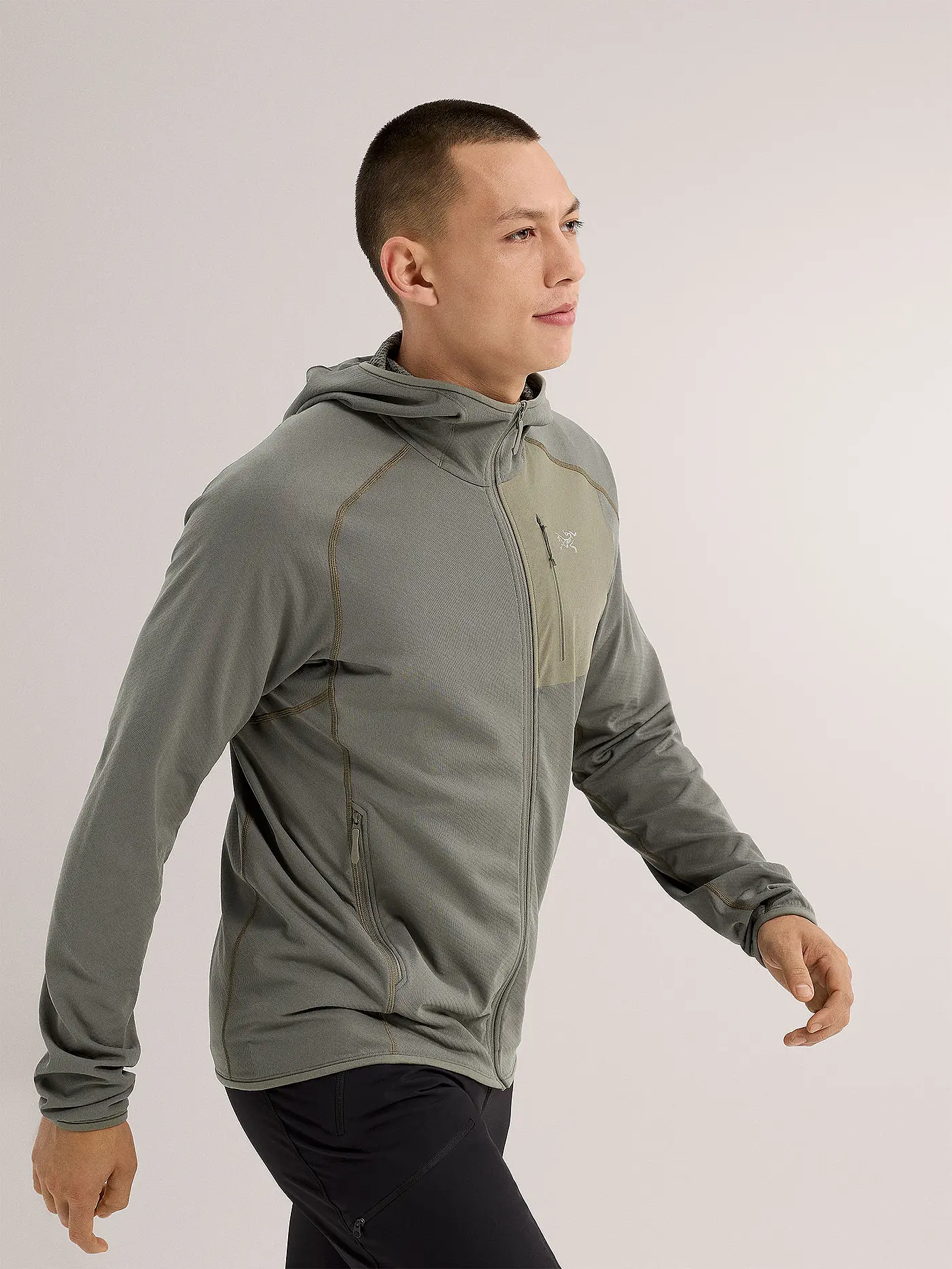 ARCTERYX | Herren Fleecejacke Delta Hoodie | beige