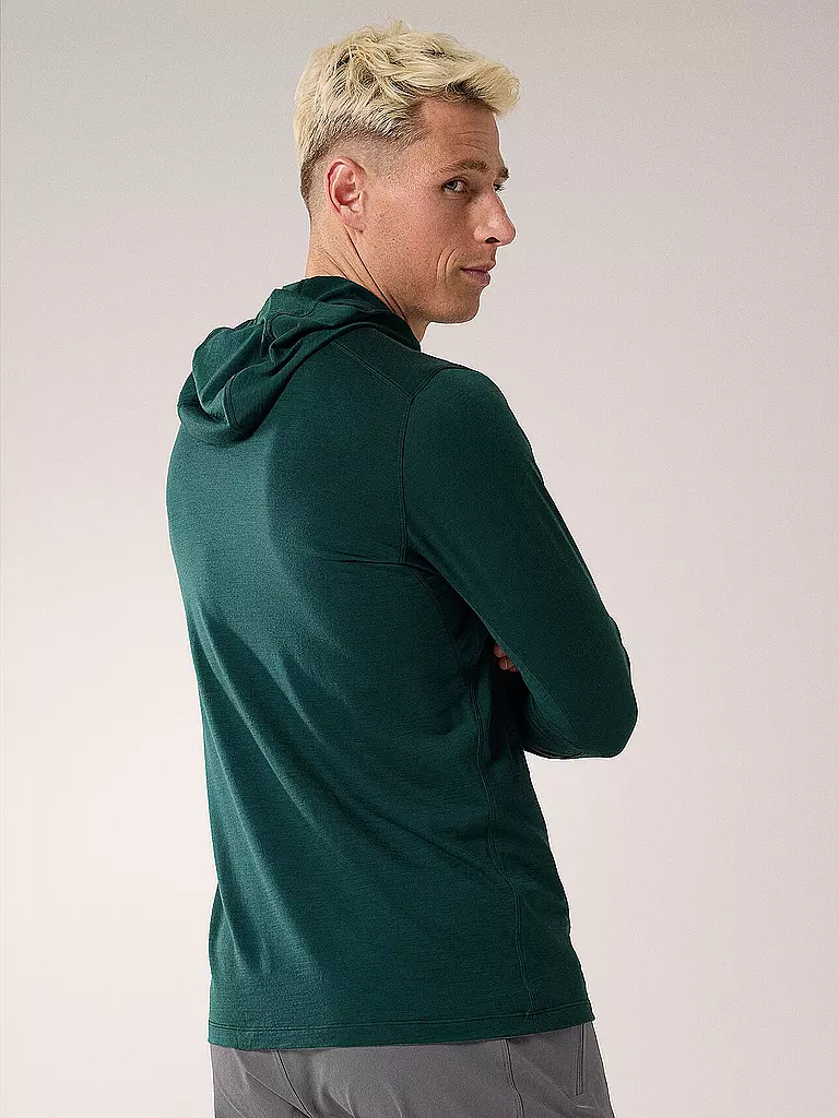 ARCTERYX | Herren Funktionsshirt Ionia Merino Wool Hoodie | grün