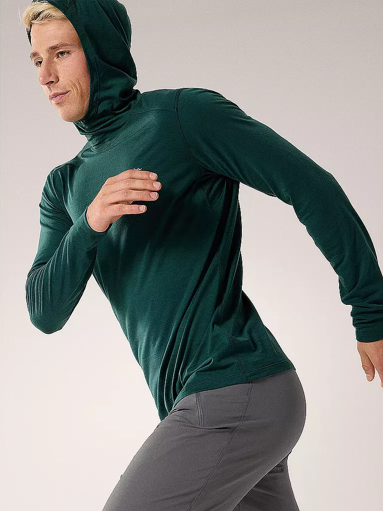 ARCTERYX | Herren Funktionsshirt Ionia Merino Wool Hoodie | grün