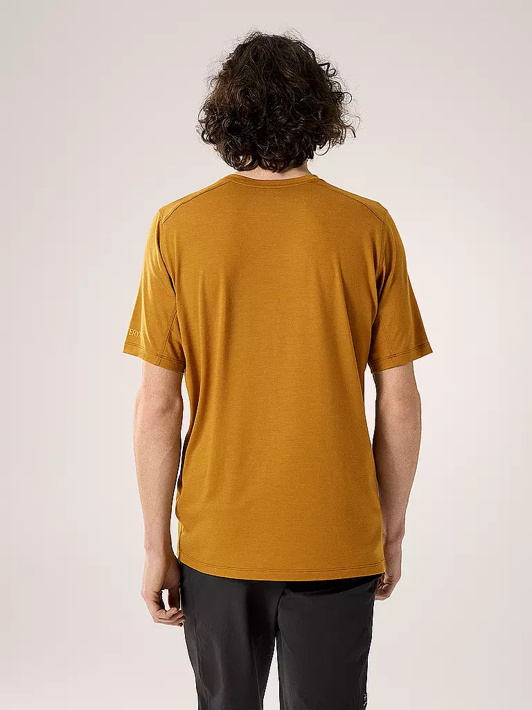 ARCTERYX | Herren Funktionsshirt Ionia Merino Wool Logo | grau