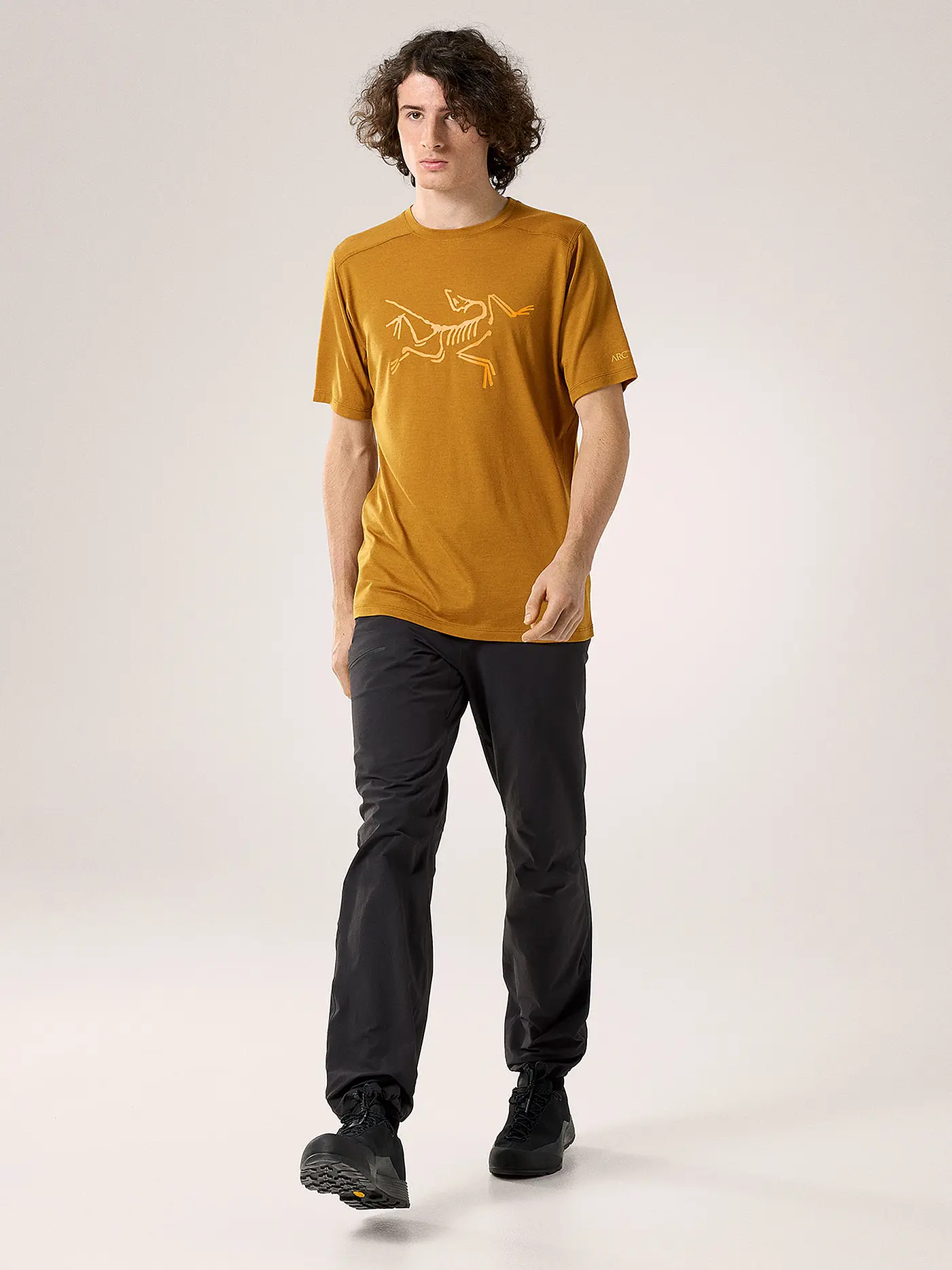 ARCTERYX | Herren Funktionsshirt Ionia Merino Wool Logo | gelb