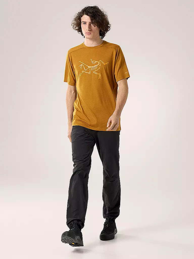 ARCTERYX | Herren Funktionsshirt Ionia Merino Wool Logo | gelb