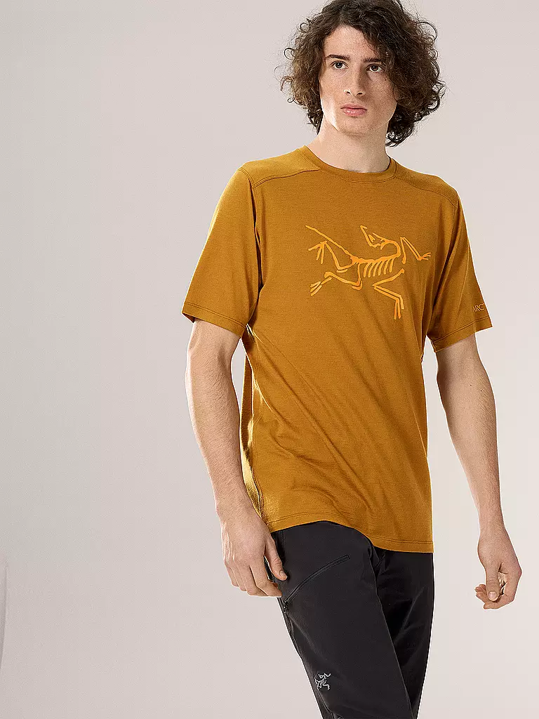 ARCTERYX | Herren Funktionsshirt Ionia Merino Wool Logo | grau