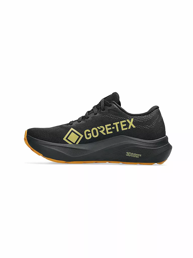 ASICS | Damen Laufschuhe GT-2000 14 GTX | schwarz