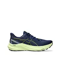 ASICS | Herren Laufschuhe GT-2000 12 GTX | blau