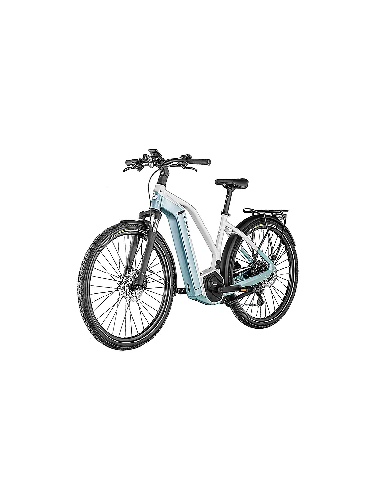 BERGAMONT | Damen E-Bike E-Horizon Edition LTD Lady |