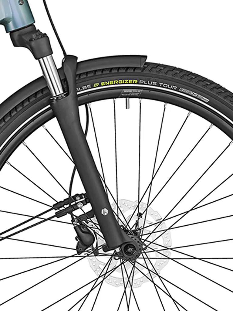BERGAMONT | Damen E-Bike E-Horizon Edition LTD Lady |
