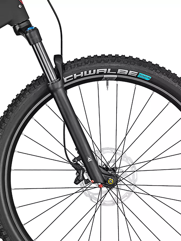 BERGAMONT | Damen E-Bike E-Revox Expert FMN | schwarz