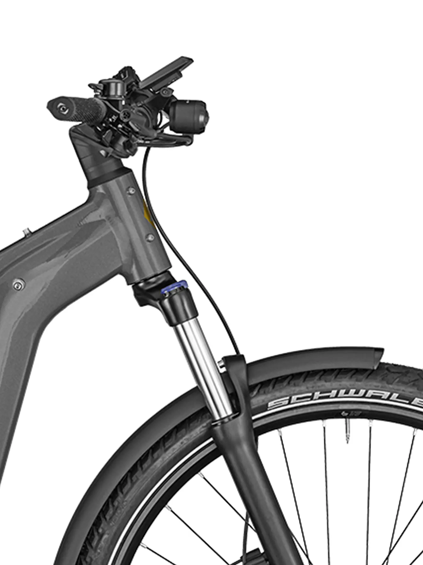BERGAMONT | Herren E-Bike E-Revox Edition EQ | grau