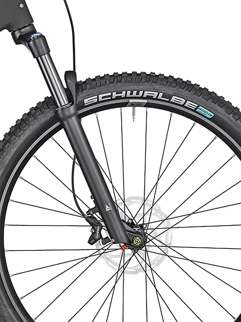 BERGAMONT | Herren E-Bike E-Revox Expert | schwarz