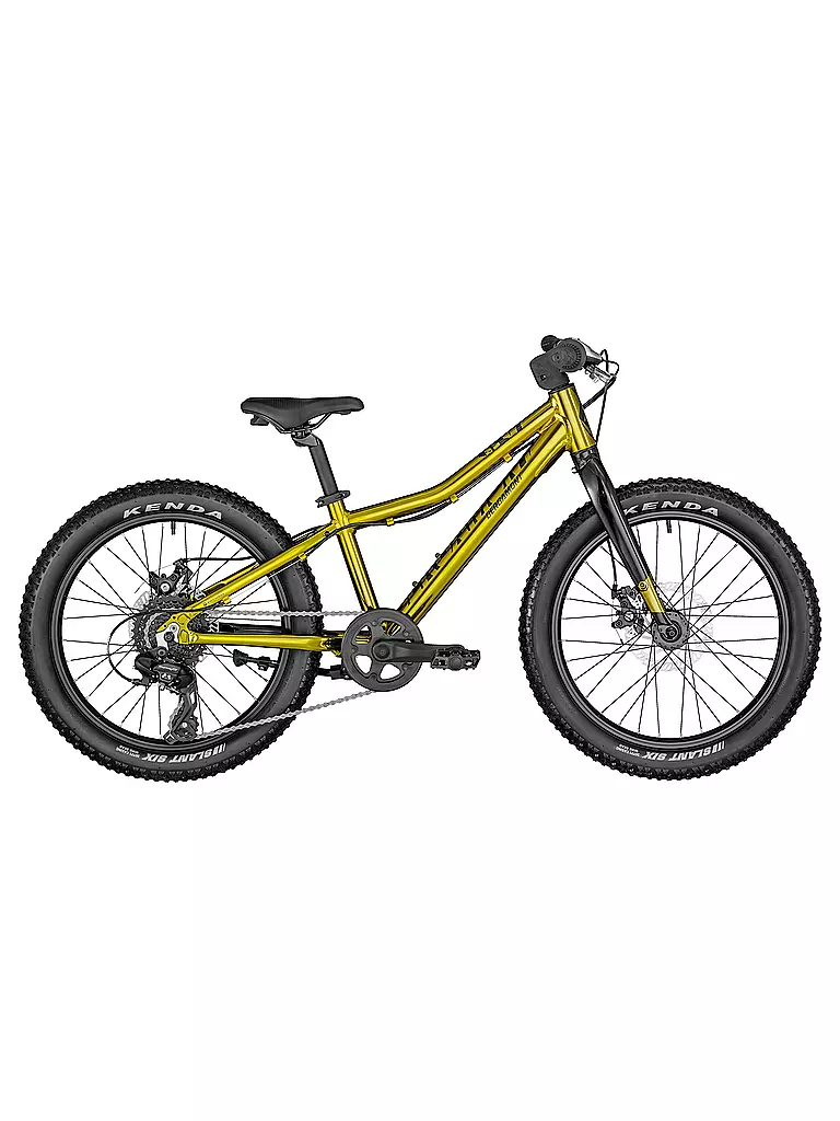 BERGAMONT | Jungen Mountainbike Bergamonster 20 Plus Boy 2022 | gold