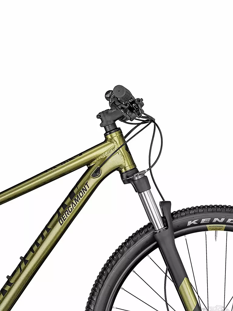 BERGAMONT | Mountainbike 29" Revox 6 | gold