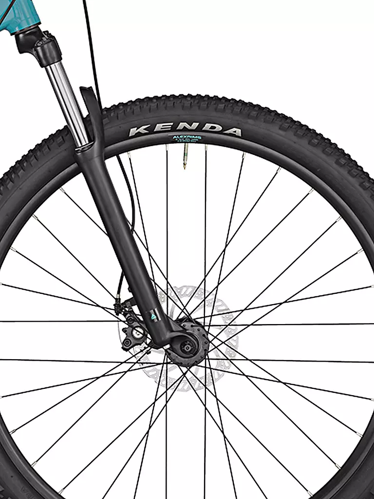 BERGAMONT | Mountainbike Revox 2 blue | türkis