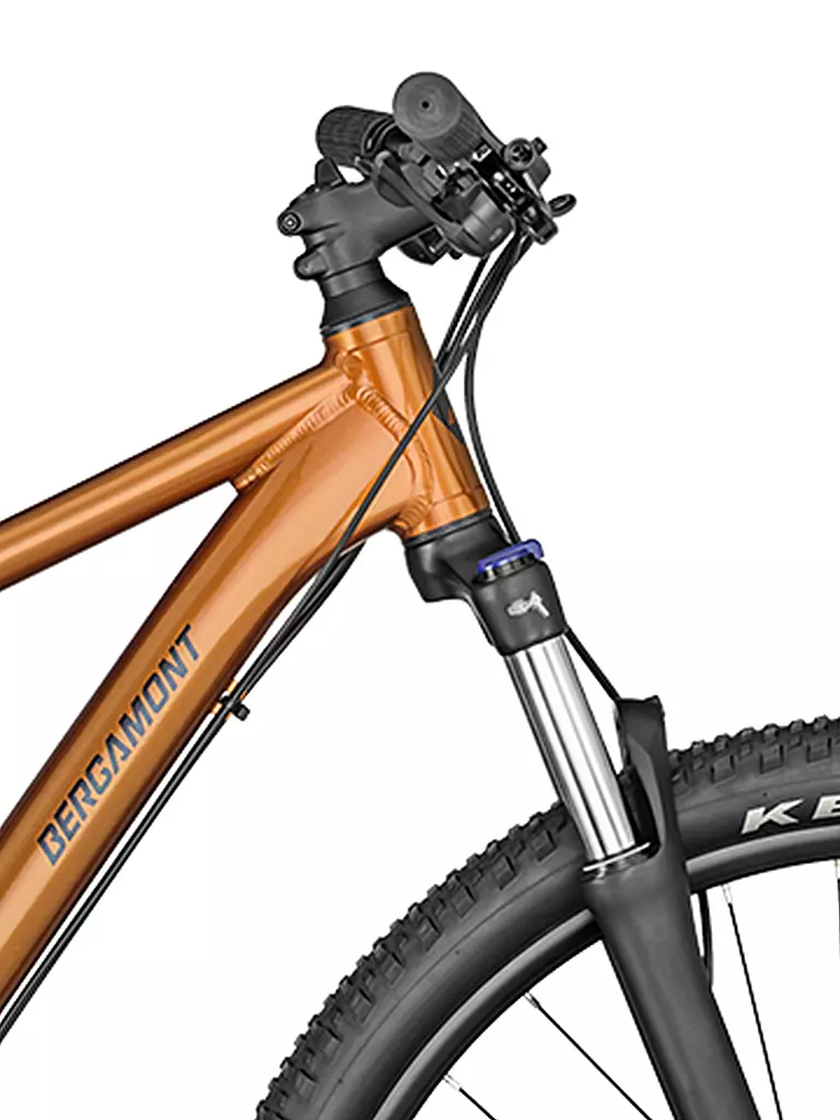 BERGAMONT | Mountainbike Revox 4 bronze | orange
